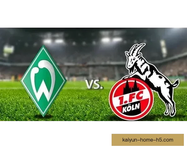 开云体育入口带你了解最新体育赛事资讯与安全便捷娱乐体验指南